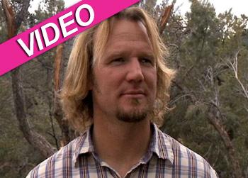 //sister wives kody brown advice