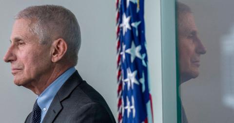 megyn kelly grill donald trump covid  response dr anthony fauci jpg