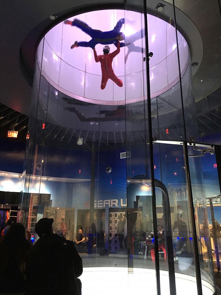 Teresa Giudice Prison Release Indoor Skydiving