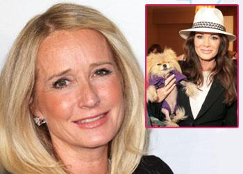 kim richards lisa vanderpump lies