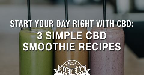 Start Your Day Right With CBD: 3 Simple CBD Smoothie Recipes