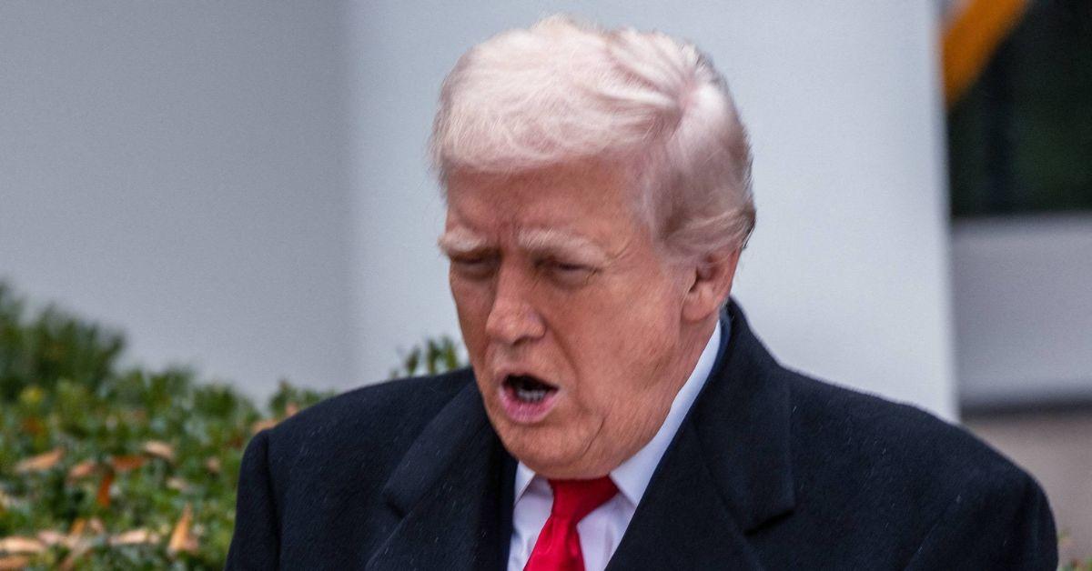 picture of Donald Trump