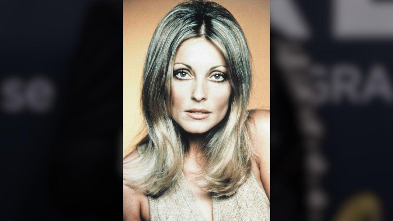 picture of sharon tate
