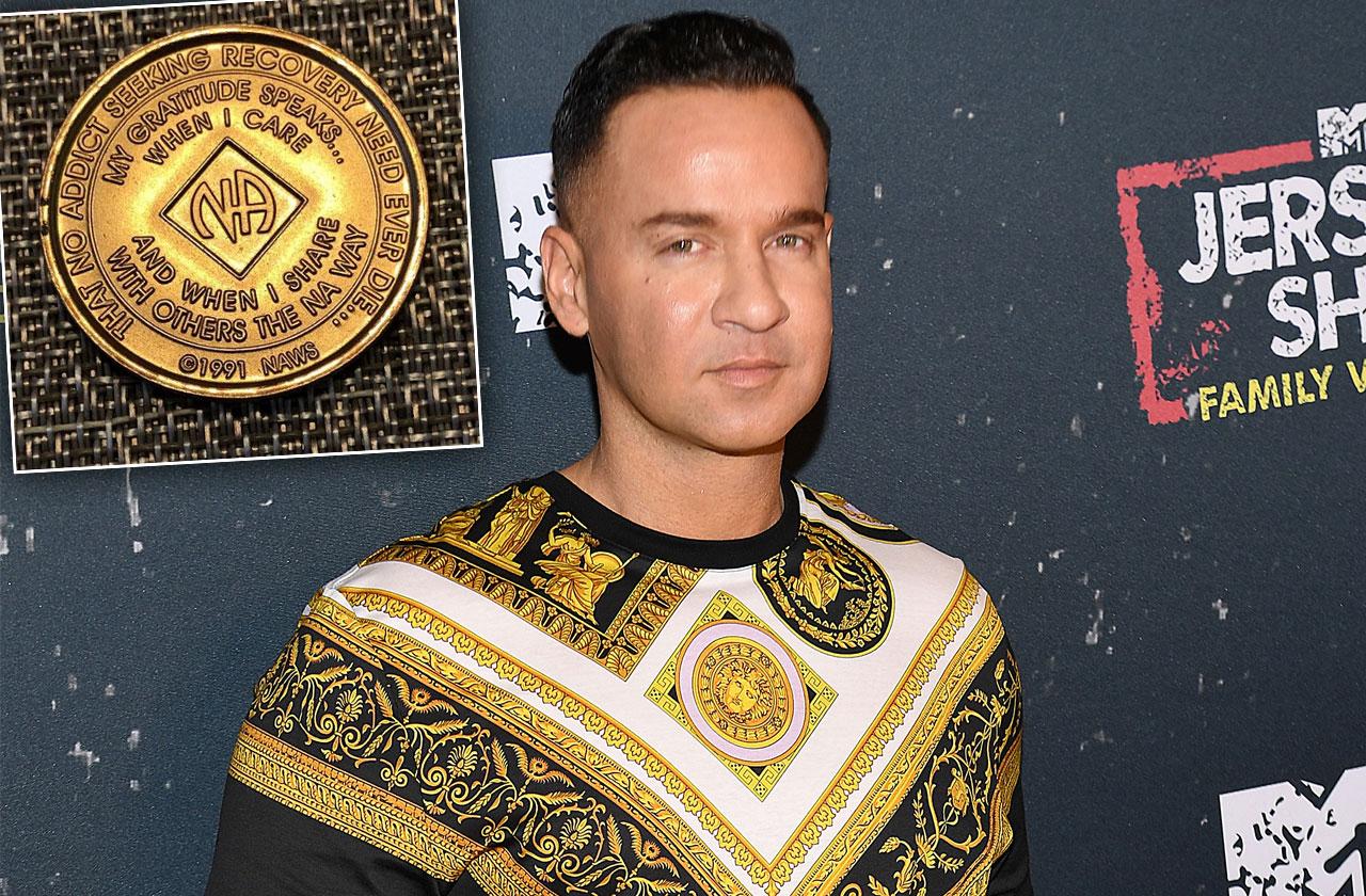 Mike The Situation Sorrentino Two Years Sober Prison