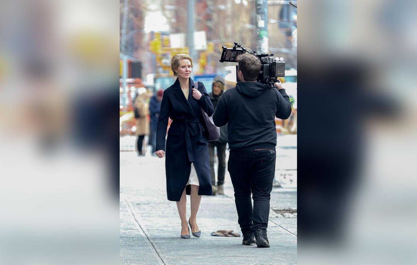 //catfights arrests star politician cynthia nixon