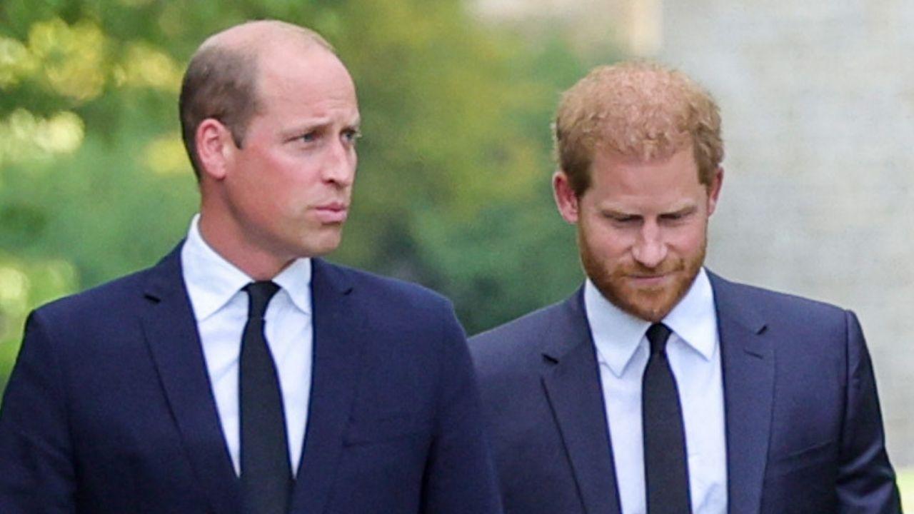 Photo of Princes Harry and William
