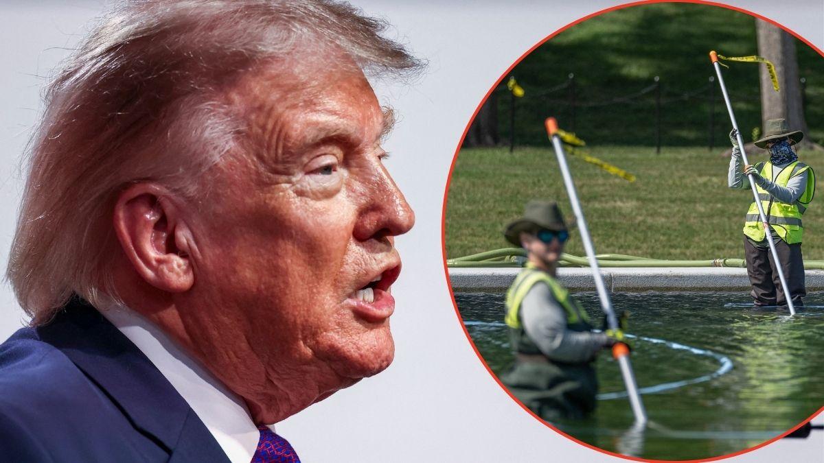 picture of Donald Trump and reflecting pool