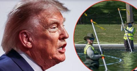 picture of Donald Trump and reflecting pool