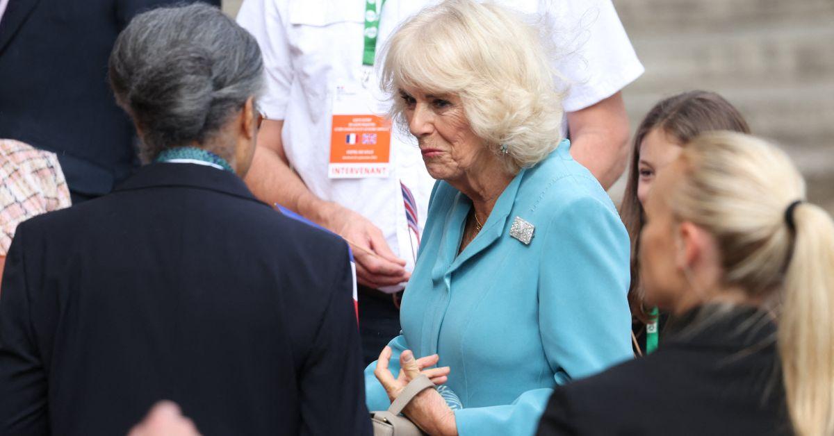 queen camilla recruits companion