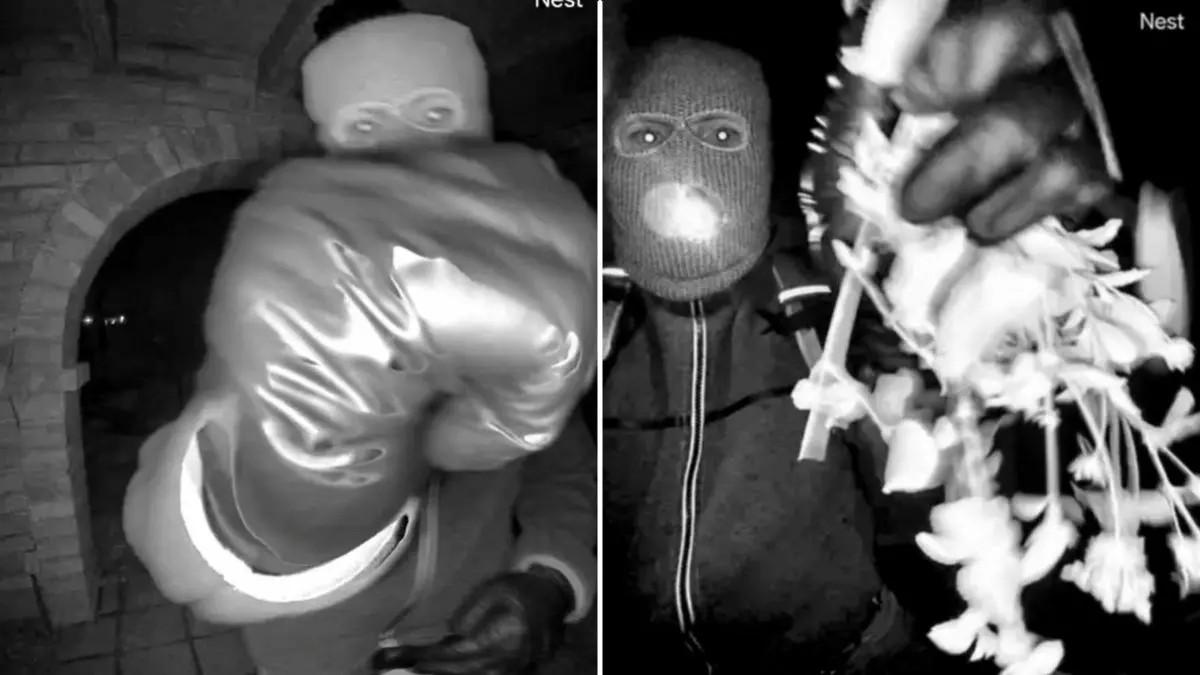 Photos of alleged suspect in Nancy Guthrie case