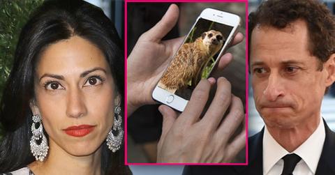 anthony weiner sexting college student huma abedin catfish scandal