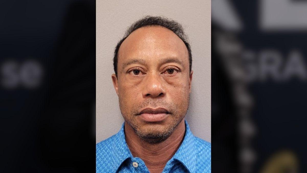 picture of Tiger Woods