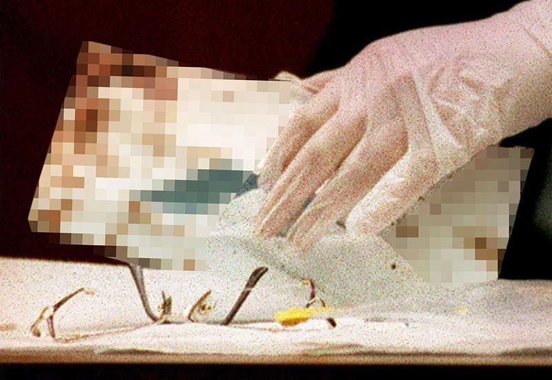 gruesome crime scene photos unveiled at cannibal trial