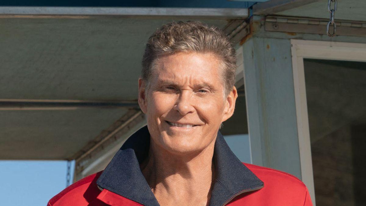 picture of David Hasselhoff
