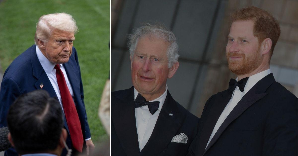 Split photos of Donald Trump, King Charles and Prince Harry