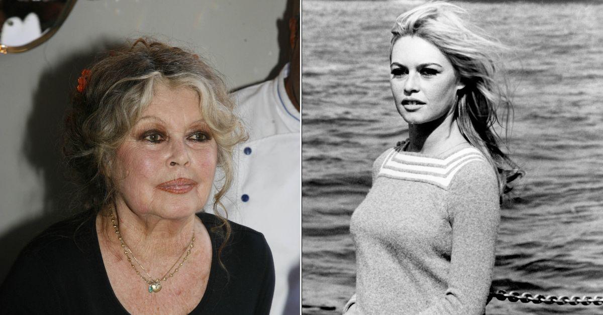 Composite photo of Brigitte Bardot