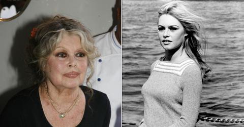 Composite photo of Brigitte Bardot