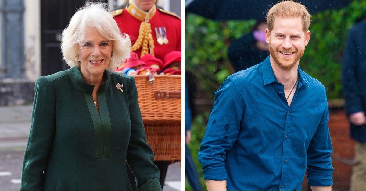 Photo of Queen Camilla and Prince Harry