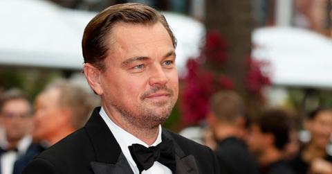leonardo dicaprio mega