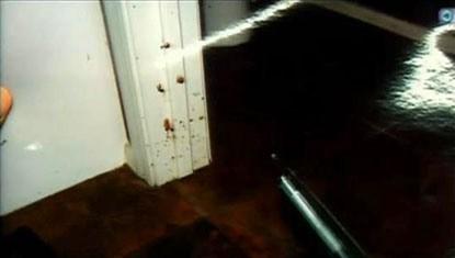 Did Police Cover Up Evidence In The Jodi Arias Crime Scene Explosive New Details - n4ia1ef