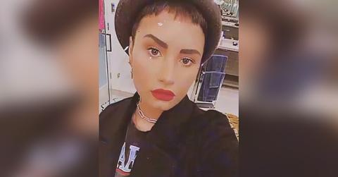 demi lovato non binary pronouns they them r