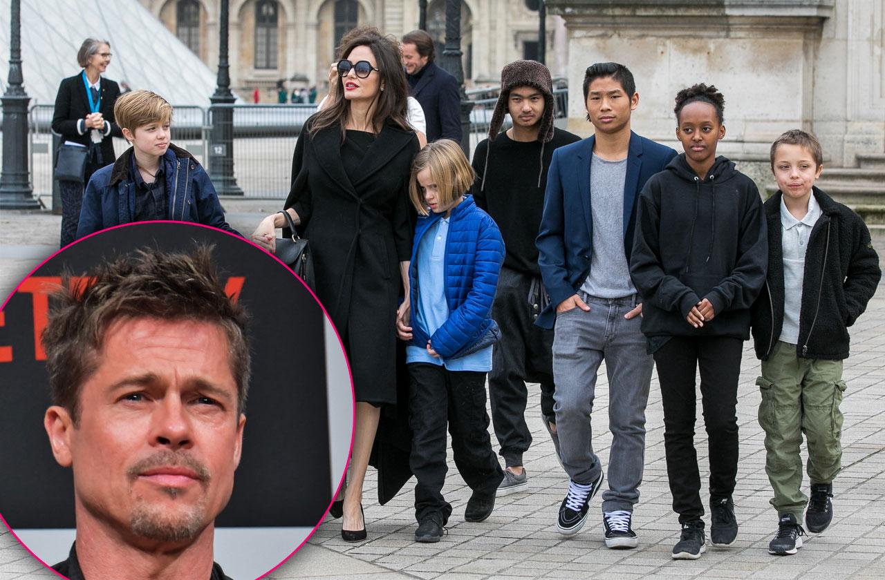 Angelina Jolie & Brad Pitt Custody Fight