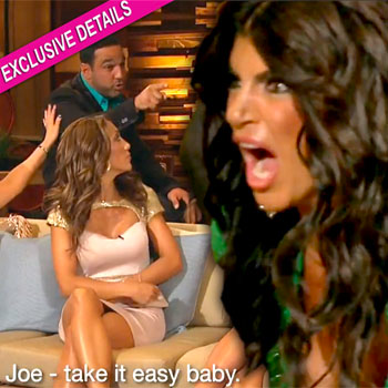 Teresa Giudice Badmouthing Brother Joe & His Wife Melissa Gorga To Her