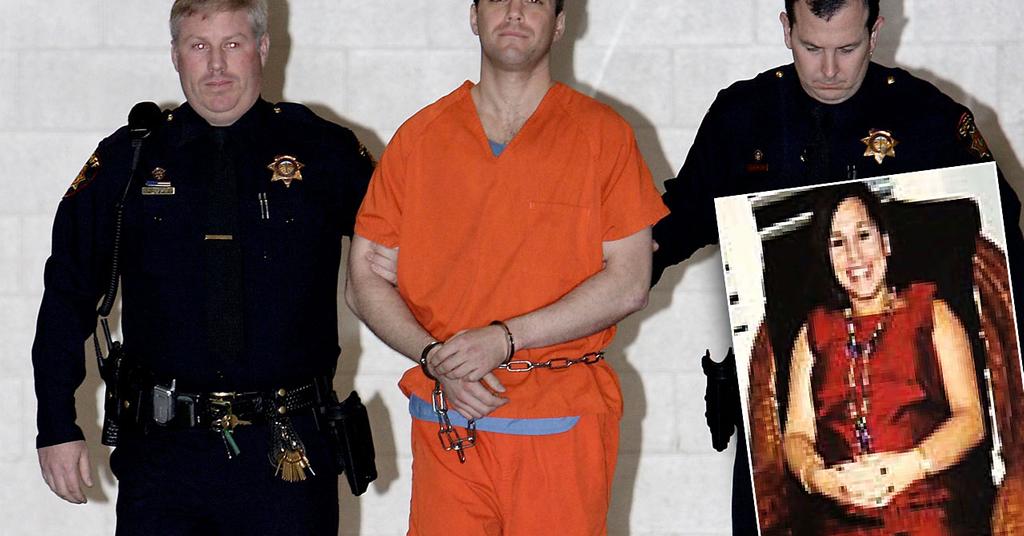 Scott Peterson Appeal 2024 Case Anica Torrie