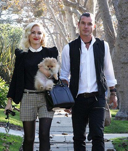 //ffn_stefani_gwen_vm_cad___px