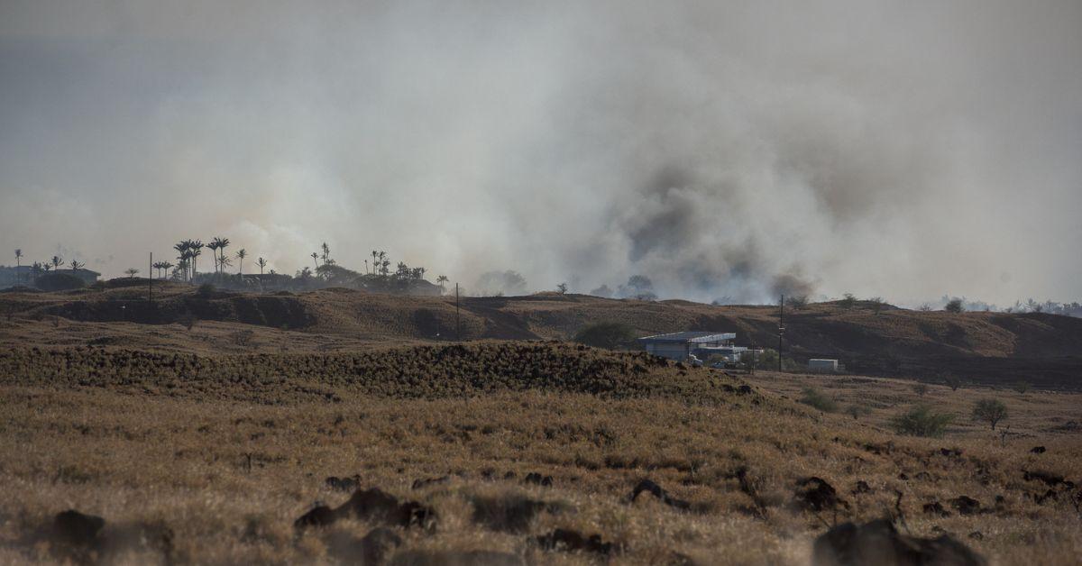 Maui Couple Sue Power Companies for 'Ignoring' Wildfire Warning Signs