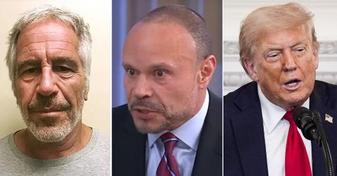 Composite photo of Jeffrey Epstein, Dan Bongino, Donald Trump