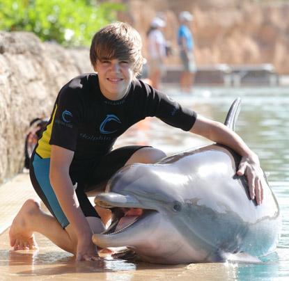 Justin's dream Dolphins build has been brought to life! 