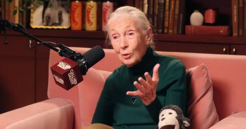 Photo of Jane Goodall