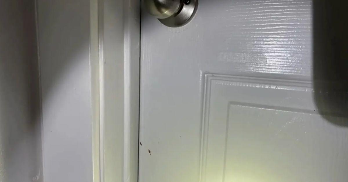 Apparent splatter markings left on a door. 