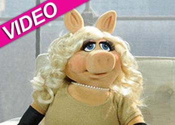 //miss piggy botox anderson cooper