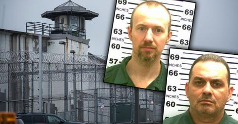 Prison Break New York Beaten