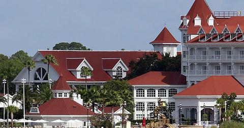 //alligator drags toddler boy disney body found