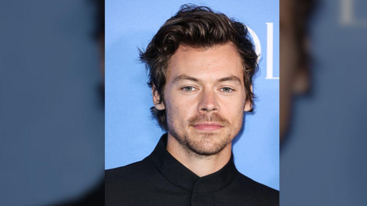 Ahead of his 'Together, Together' tour, Styles is reportedly planning an engagement to Zoë with Lenny's blessing.