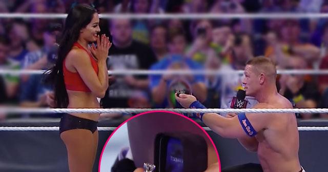 //john cena nikki bella proposial wrestlemania pp