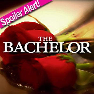 //the bachelor logo