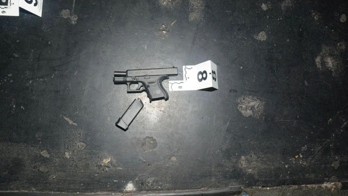 Loibl used two guns to shoot Grimmie four times.