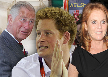 //royal scandals prince harry charles wenn