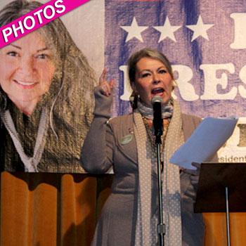 //roseanne barr campaigns for president post_