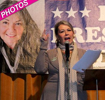 //roseanne barr campaigns for president post_