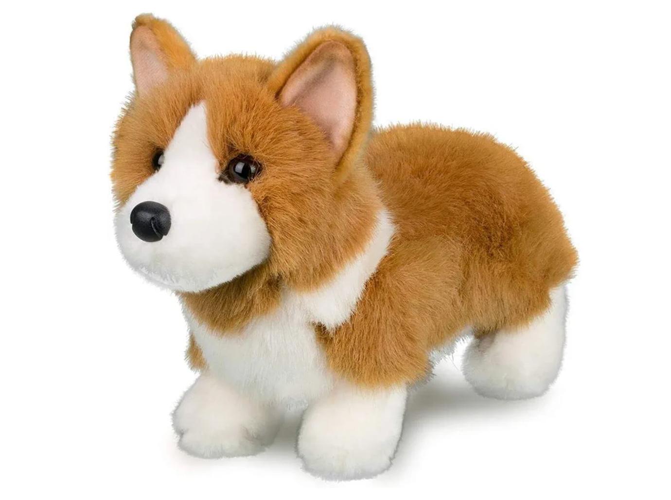 corgi