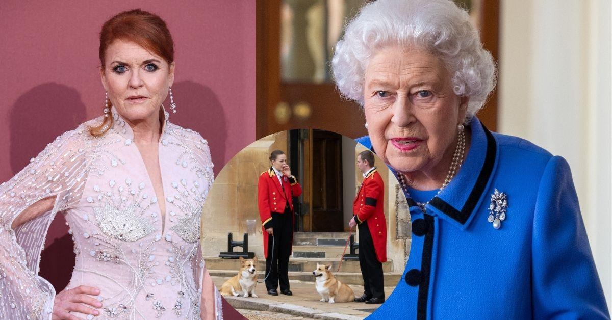 queen elizabeth orders after death communicates via corgis