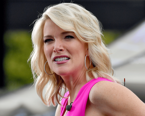 Megyn Kelly Says Brother Was 'Attacked By Thugs' As A Police Office