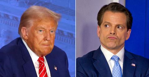 Composite photo of Donald Trump, Anthony Scaramucci.