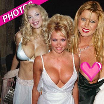 //boob blunders pam andersont tara reid