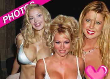 //boob blunders pam andersont tara reid